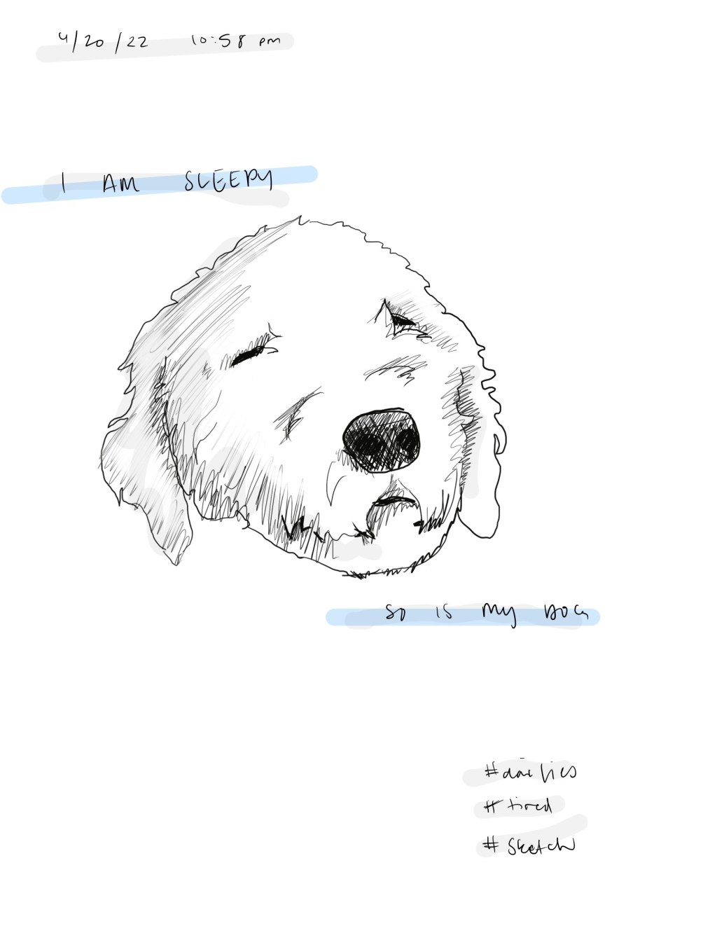 Sleepy Dawg / Dailies&nbsp;/4.20.22