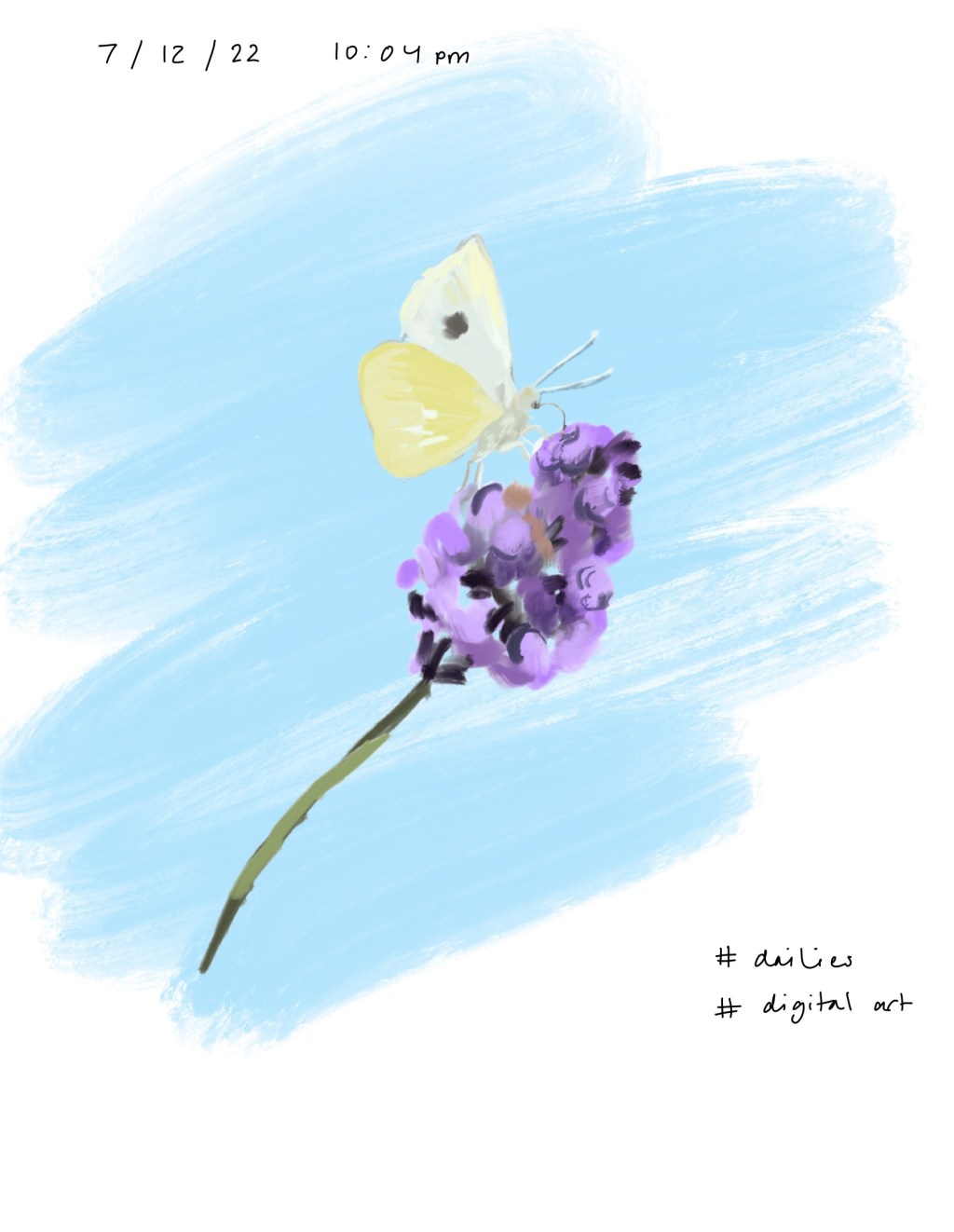 Butterfly / Dailies /&nbsp;7.12.22