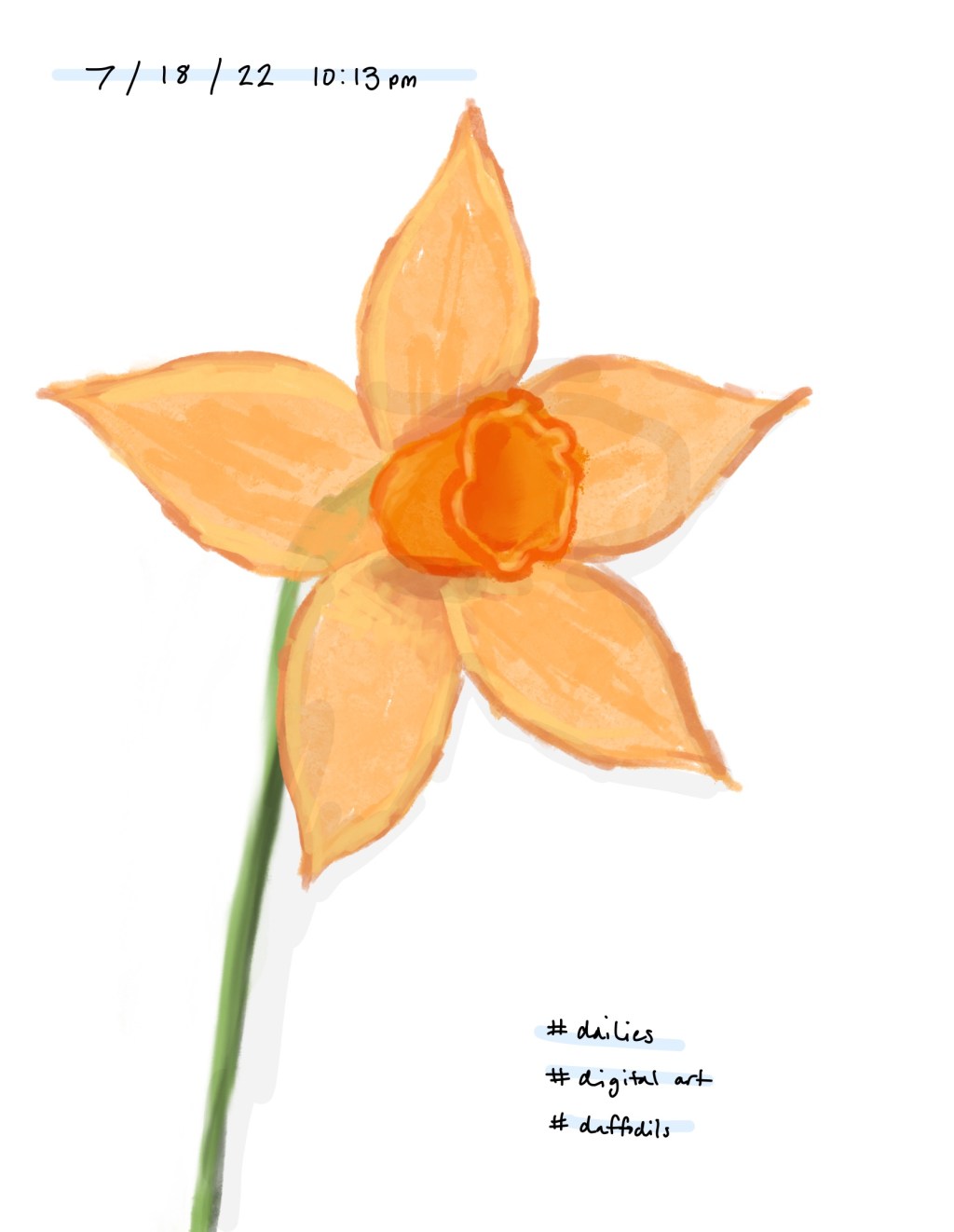 Daffodil in Color / Dailies /&nbsp;7.18.22