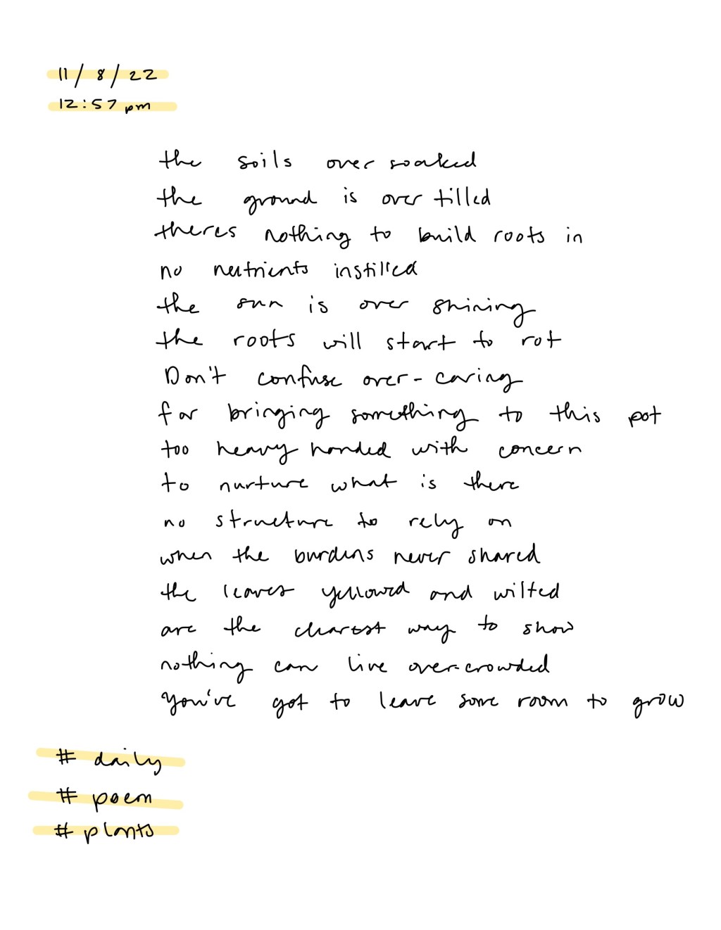 Room / Dailies /&nbsp;11.8.22