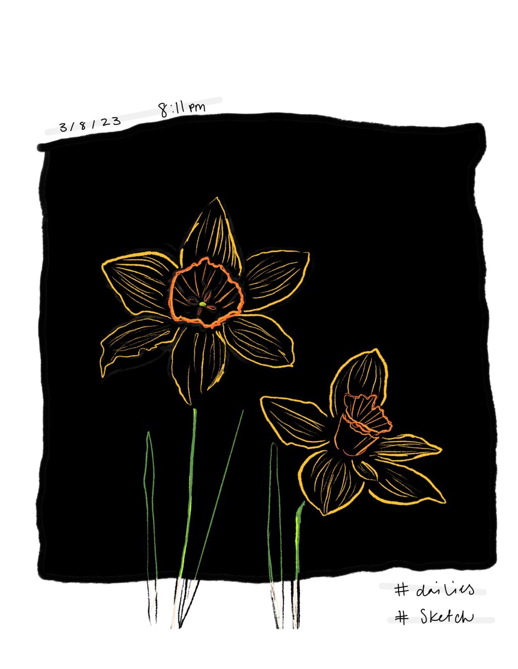 Daffodils / Dailies /&nbsp;3.8.23